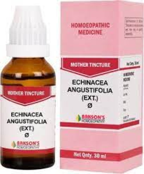 Echinacea Augustifolia